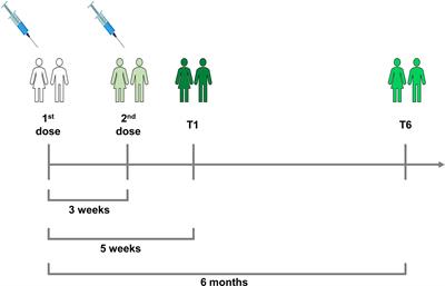 Kinetics of the B- and T-Cell Immune Responses After 6 Months From SARS-CoV-2 mRNA Vaccination in Patients With Rheumatoid Arthritis